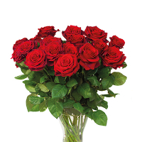 Reidun Synnøve Sandviken